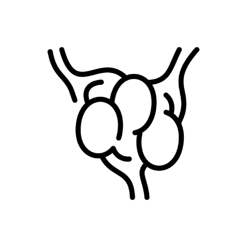 پروستات