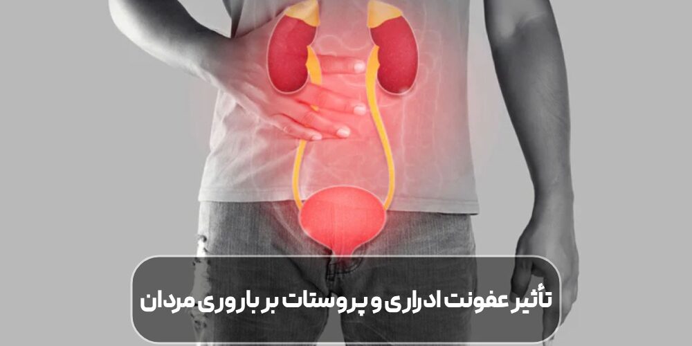 تأثیر عفونت ادراری و پروستات بر باروری مردان