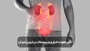 تأثیر عفونت ادراری و پروستات بر باروری مردان