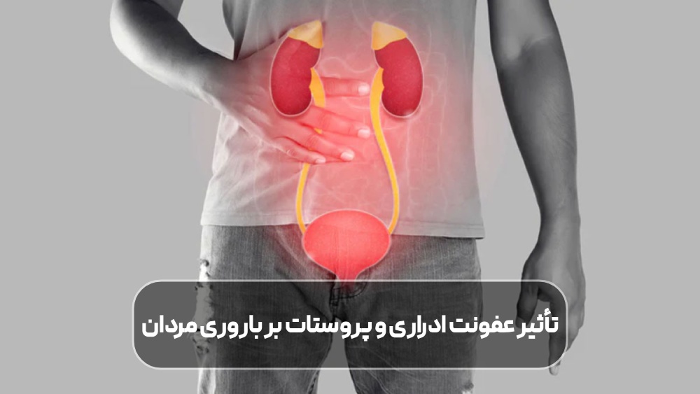 تأثیر عفونت ادراری و پروستات بر باروری مردان