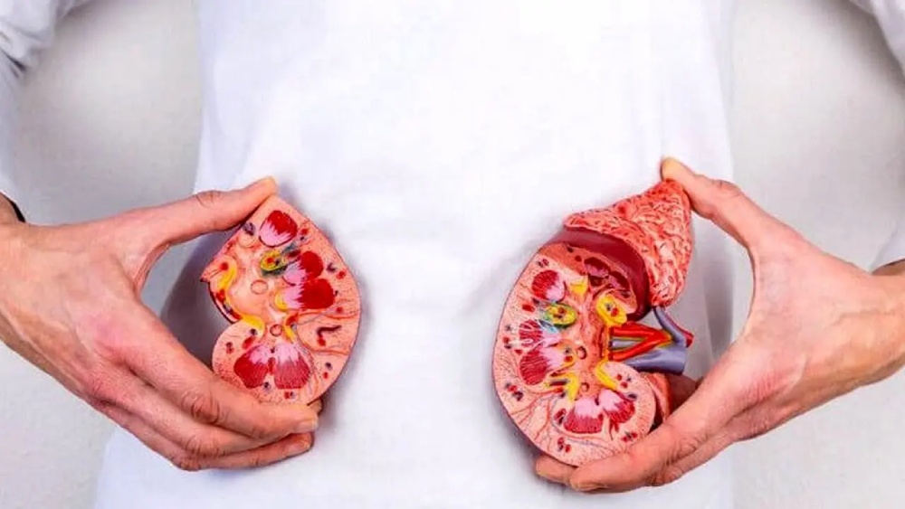اهمیت علائم اورژانسی سنگ کلیه 