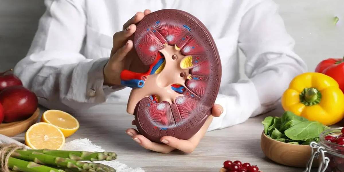 روش‌های پیشگیری از سنگ کلیه