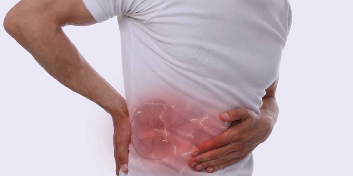 علائم هشداردهنده سنگ کلیه